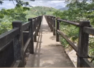 குமரி: மாத்தூர் தொட்டி பாலத்தில் உடைந்த கைப்பிடி சுவர்