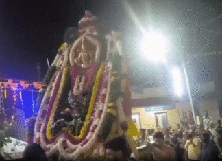 திருவட்டாறு: ஆதிகேசவப்பெருமாளுக்கு ஆற்றில் ஆராட்டு