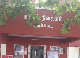 புதுக்கடை: வீட்டில் நின்ற பசுமாடு திருட்டு போலீசில் புகார்