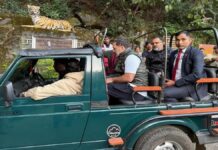 ம.பி. சரணாலயத்தில் சபாரி சென்ற ராகுல் காந்தி