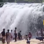 திற்பரப்பு: அருவியில் நேற்று பிற்பகல் முதல்பயணிகளுக்கு அனுமதி