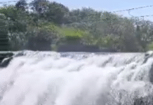 திற்பரப்பு: அருவியில் நேற்று பிற்பகல் முதல்பயணிகளுக்கு அனுமதி