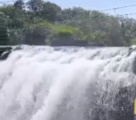 திற்பரப்பு: அருவியில் நேற்று பிற்பகல் முதல்பயணிகளுக்கு அனுமதி