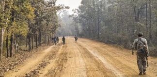 ஜார்க்கண்டில் மாவோயிஸ்ட் சரண்: ரூ.5 லட்சம் பரிசு அறிவிக்கப்பட்டவர்