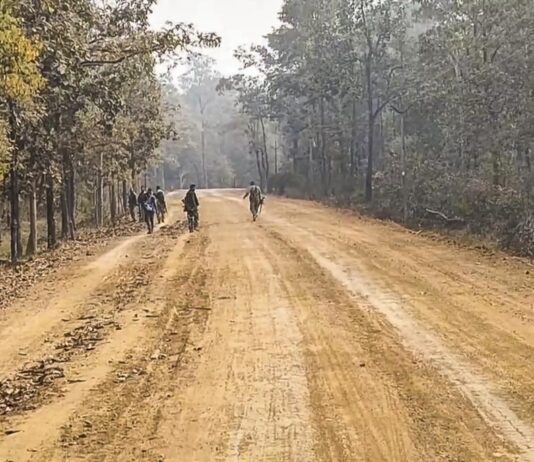 ஜார்க்கண்டில் மாவோயிஸ்ட் சரண்: ரூ.5 லட்சம் பரிசு அறிவிக்கப்பட்டவர்