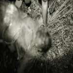 நாகர்கோவிலில் பைனான்ஸ் அதிபர் ரயில் முன் பாய்ந்து தற்கொலை