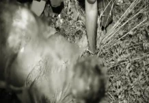 நாகர்கோவிலில் பைனான்ஸ் அதிபர் ரயில் முன் பாய்ந்து தற்கொலை