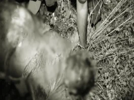 நாகர்கோவிலில் பைனான்ஸ் அதிபர் ரயில் முன் பாய்ந்து தற்கொலை