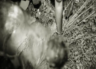 நாகர்கோவிலில் பைனான்ஸ் அதிபர் ரயில் முன் பாய்ந்து தற்கொலை