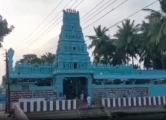 களியங்காடு சிவன் கோவிலில் பிரதோஷ வழிபாடு.