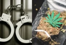 குமரியில் கஞ்சா வழக்கில் 465 பேர் கைது