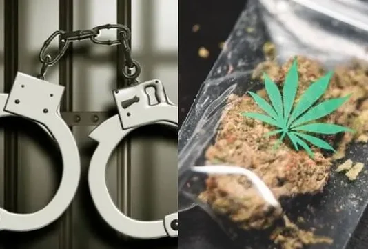 குமரியில் கஞ்சா வழக்கில் 465 பேர் கைது