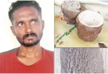 கன்னியாகுமரி: மரவள்ளி கிழங்கால் நாட்டு வெடிகுண்டு தயாரித்தவர் கைது