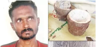 கன்னியாகுமரி: மரவள்ளி கிழங்கால் நாட்டு வெடிகுண்டு தயாரித்தவர் கைது