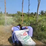 குமரி: கடற்கரைப் பகுதியில் பிளாஸ்டிக் கழிவுகள் அகற்றம்