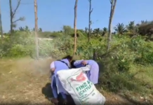 குமரி: கடற்கரைப் பகுதியில் பிளாஸ்டிக் கழிவுகள் அகற்றம்