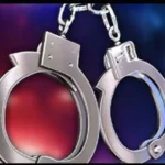 தேவிகோடு: சந்தன மரம் வெட்டி கடத்தியவர் கைது