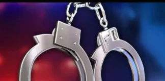 தேவிகோடு: சந்தன மரம் வெட்டி கடத்தியவர் கைது