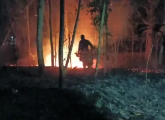 நித்திரவிளை: ரப்பர் தோட்டத்தில் திடீர் தீ ; நாச வேலையா?