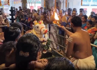 திக்குறிச்சி: மஹாதேவர் ஆலயத்தில் நந்தி ஊட்டு பூஜை