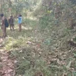 குமரி: புலிகள் கணக்கெடுப்பு பணிகள் துவக்கம்