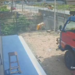 புலியூர்குறிச்சி: ஆற்றில் பாய்ந்த லோடு ஆட்டோ; வீடியோ வைரல்