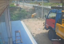 புலியூர்குறிச்சி: ஆற்றில் பாய்ந்த லோடு ஆட்டோ; வீடியோ வைரல்