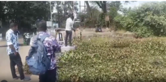 குழித்துறை: ஆற்றில் ஆகாயத்தாமரை அகற்றிய பொதுப்பணித்துறை