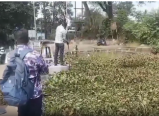 குழித்துறை: ஆற்றில் ஆகாயத்தாமரை அகற்றிய பொதுப்பணித்துறை