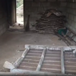 கடையாலுமூடு: வீட்டை இடித்து சேதப்படுத்திய யானை கூட்டம்