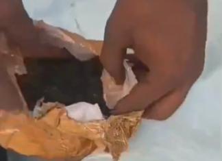 குமரி: கஞ்சா விற்பனை; விரட்டி பிடித்த போலீசார்