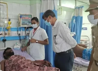 குமரி: காட்டுப்பன்றி தாக்கி தொழிலாளி படுகாயம்.