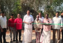 கருங்கல்: ரூ 10 லட்சத்தில் புதிய பாலம் எம்எல்ஏ திறந்தார்