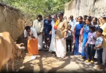 திக்குறிச்சி: கோயில் சாலையை சீரமைக்க பசு மாடுக்கு மனு