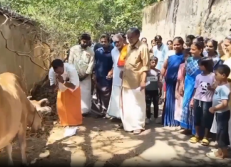 திக்குறிச்சி: கோயில் சாலையை சீரமைக்க பசு மாடுக்கு மனு