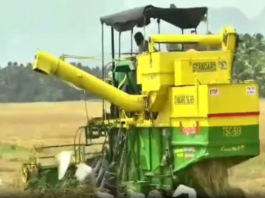 குமரியில் இரண்டாவது பருவ நெல் அறுவடை தொடக்கம்.