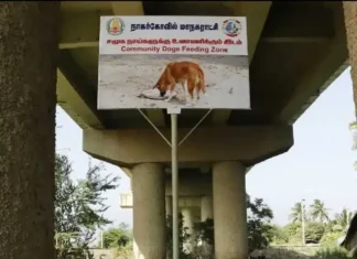 நாகர்கோவிலில் நாய்களுக்கு உணவு வழங்க தனி இடம்.