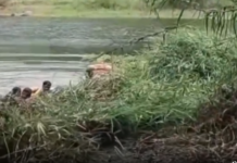 திக்குறிச்சி: ஆற்றில் சிப்பி எடுக்கச் சென்றவர் பலி