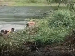 திக்குறிச்சி: ஆற்றில் சிப்பி எடுக்கச் சென்றவர் பலி