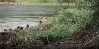 திக்குறிச்சி: ஆற்றில் சிப்பி எடுக்கச் சென்றவர் பலி