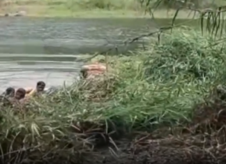 திக்குறிச்சி: ஆற்றில் சிப்பி எடுக்கச் சென்றவர் பலி