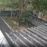 மார்த்தாண்டம்: நாயை கல்லால் அடித்து கால் உடைப்பு – வீடியோ