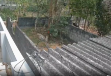 மார்த்தாண்டம்: நாயை கல்லால் அடித்து கால் உடைப்பு – வீடியோ