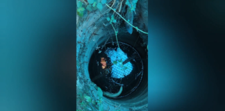 திற்பரப்பு: கோயில் கிணற்றில் உயிரிழந்து மிதக்கும் பாம்பு