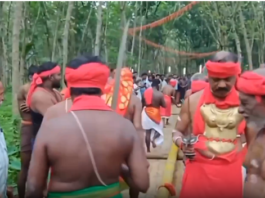 இட்டகவேலி: ஶ்ரீ நீலகேசி அம்மன் கோவிலில் கமுகுமர விழா