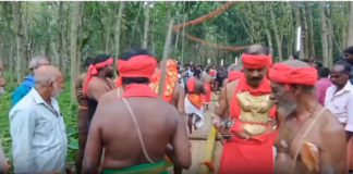 இட்டகவேலி: ஶ்ரீ நீலகேசி அம்மன் கோவிலில் கமுகுமர விழா