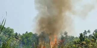 குளச்சல்: திடீர் தீ ; தென்னை வாழை மரங்கள் நாசம்