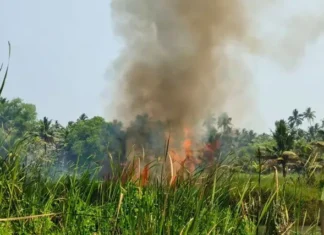 குளச்சல்: திடீர் தீ ; தென்னை வாழை மரங்கள் நாசம்