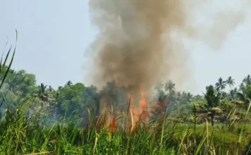 குளச்சல்: திடீர் தீ ; தென்னை வாழை மரங்கள் நாசம்