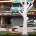 நாகர்கோவிலில் வெடிகுண்டு நிபுணர்கள் சோதனை